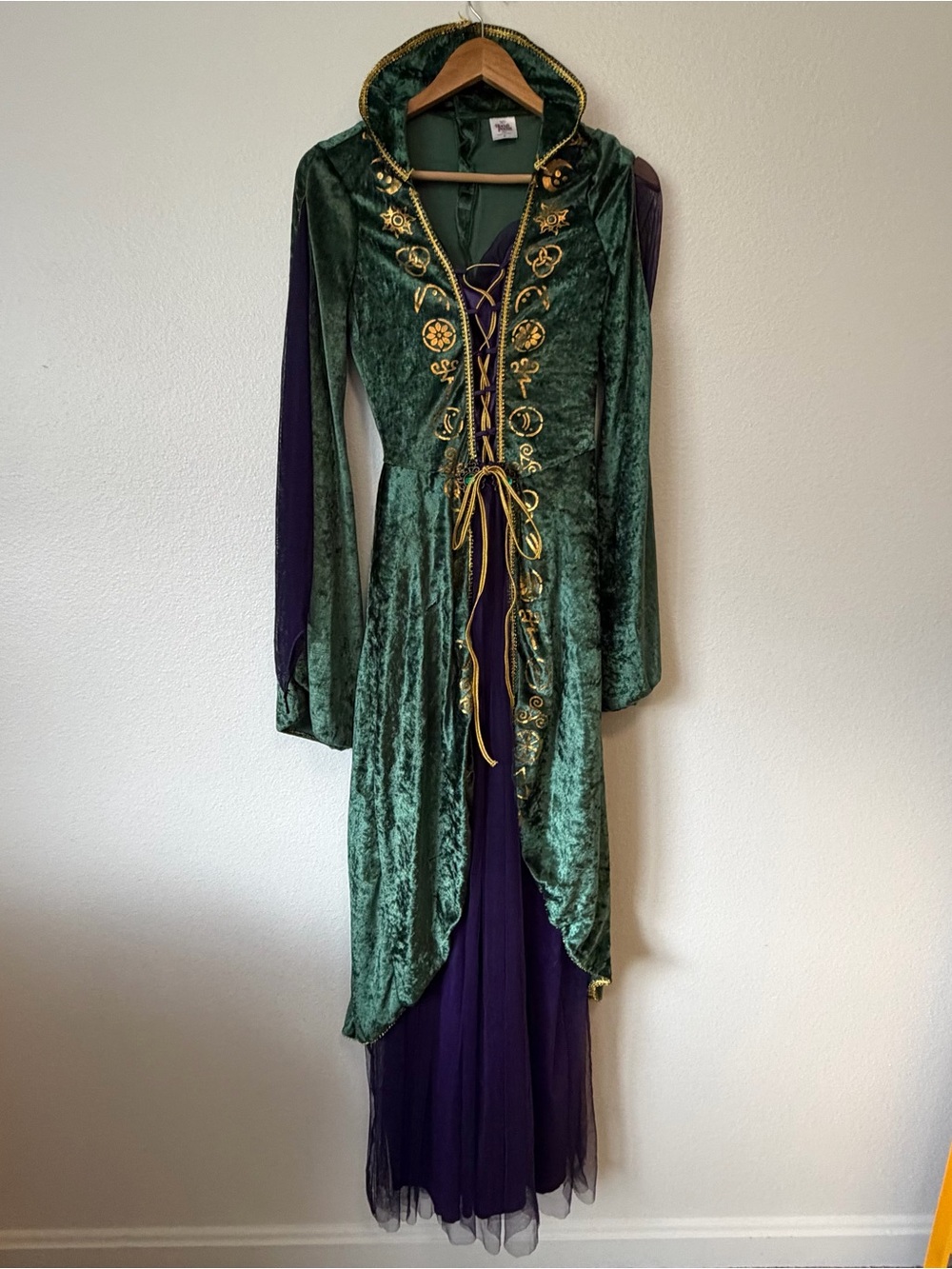 Disney hocus Pocus Velvet Winfred Dress with Purple Underskirt and Gold Trim